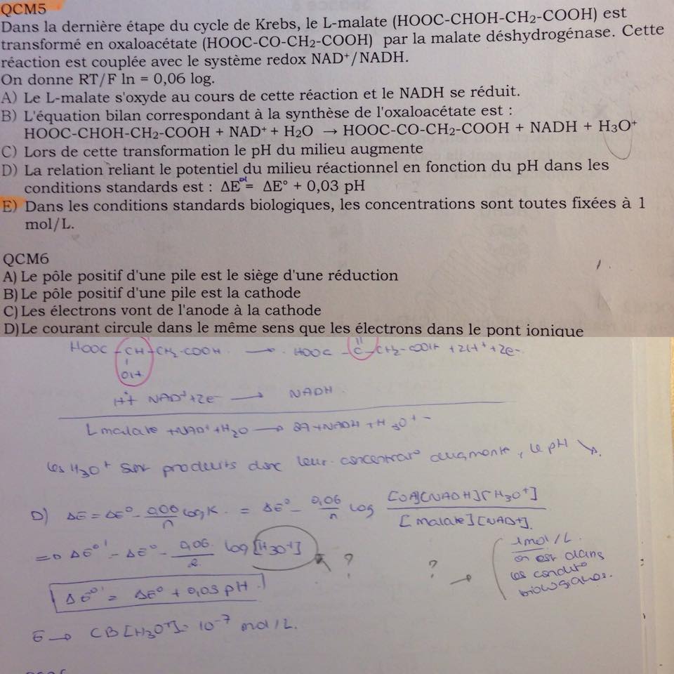 Questions Sur L Oxydo Reduction Ue Chimie Tutorat Associatif