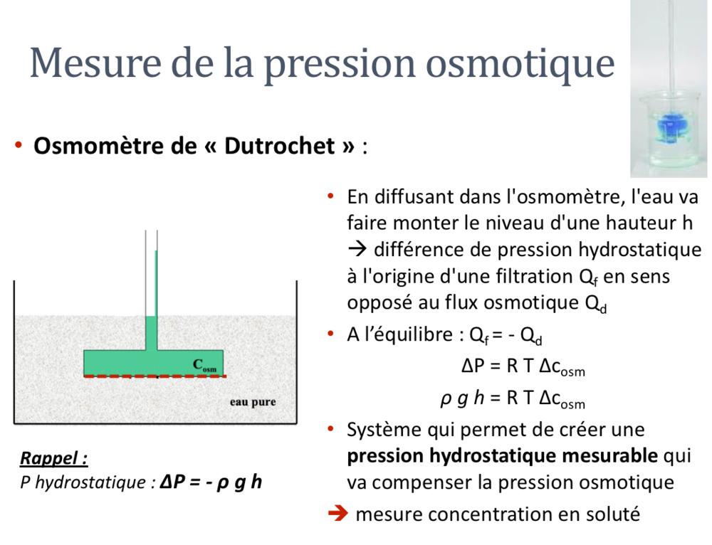 Mesure De La Pression Osmotique Ue Biophysique Tutorat