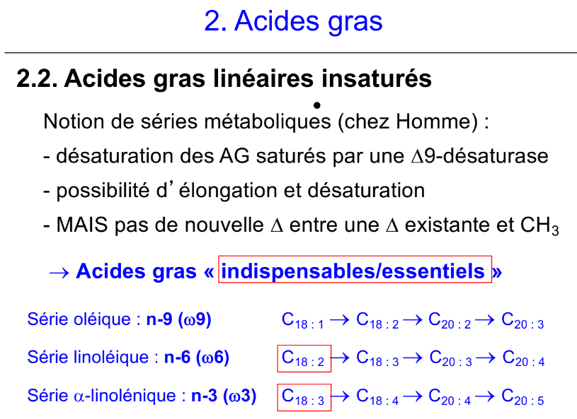 Acides Gras Insatur Ue Biochimie Tutorat Associatif Toulousain