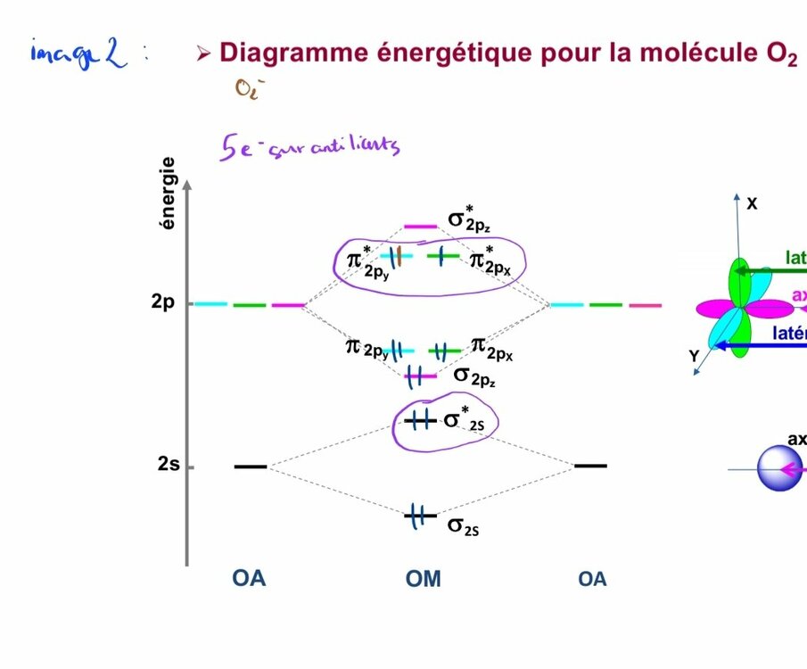 orbital moléculaire UE1 Chimie Tutorat Associatif Toulousain