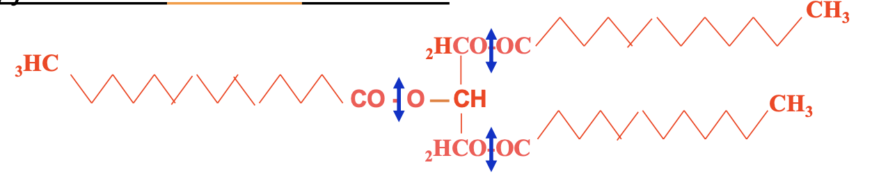 Annale 2020 21 Formations De Savons Hydrolyse Alcaline UE1