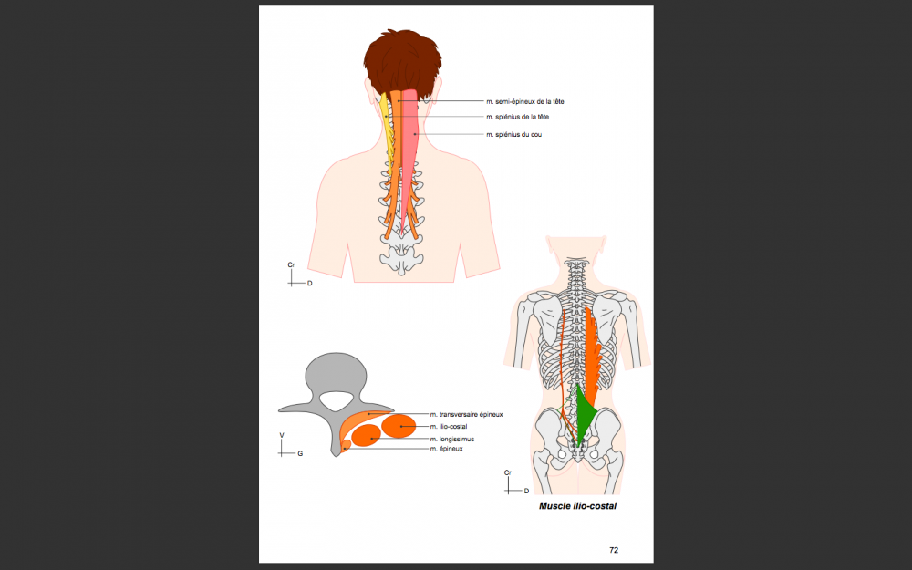 Capture d’écran 2018-03-01 à 19.16.38.png