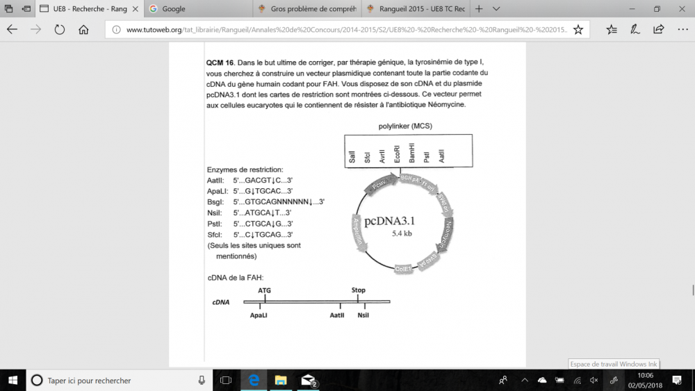 QCM 16 énoncé - Annale 2015 Rangueil.png