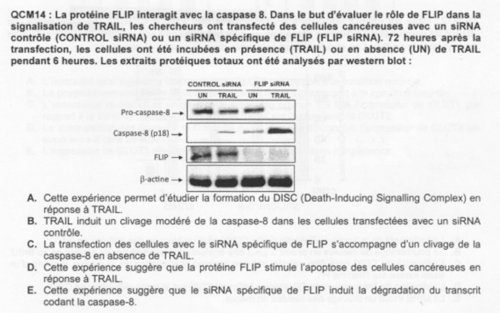 Captura de pantalla 2018-05-07 a les 23.38.47.png