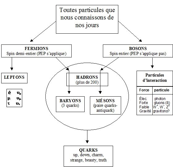 Schema_simplifie_du_modele_standard_de_la_physique_des_particules.jpg.e751564f7ea5661c10c528fb510d7de8.jpg