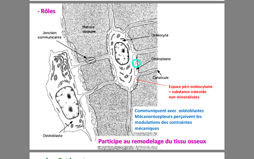 Capture d’écran 2018-10-15 à 14.58.00.png