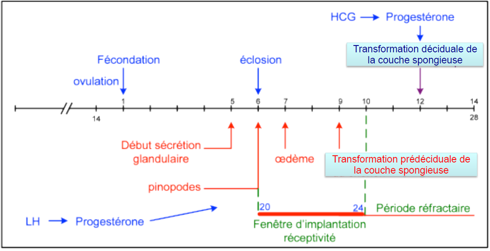 Image sans titre.png
