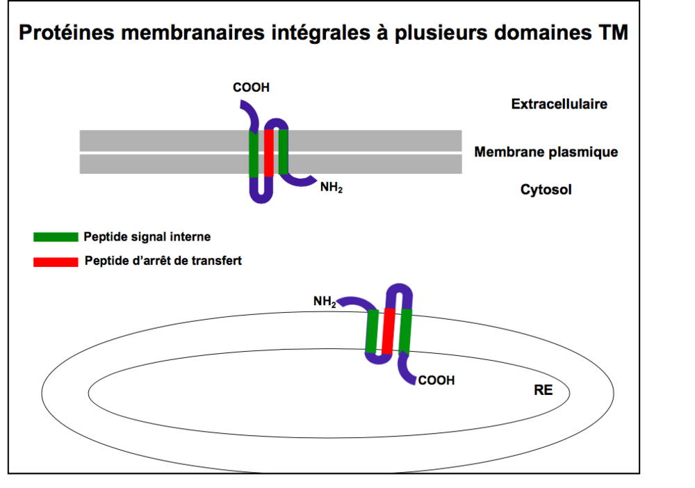 Capture d’écran 2018-10-19 à 13.40.43.png