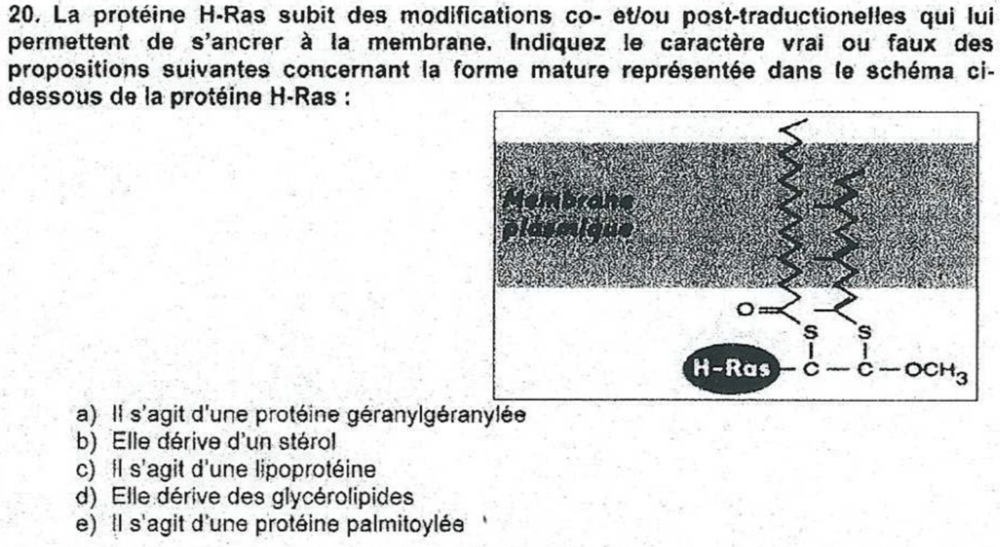 Capture d’écran 2018-12-30 à 17.35.49.png
