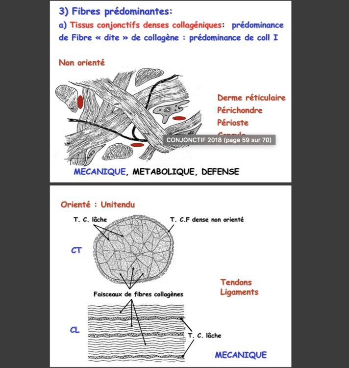 Capture d’écran 2018-12-02 à 16.50.48.png