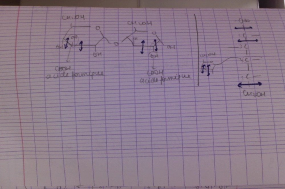Photo le 06-01-2019 à 15.11.jpg