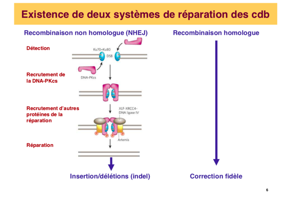 Capture d’écran 2019-02-26 à 21.00.36.png
