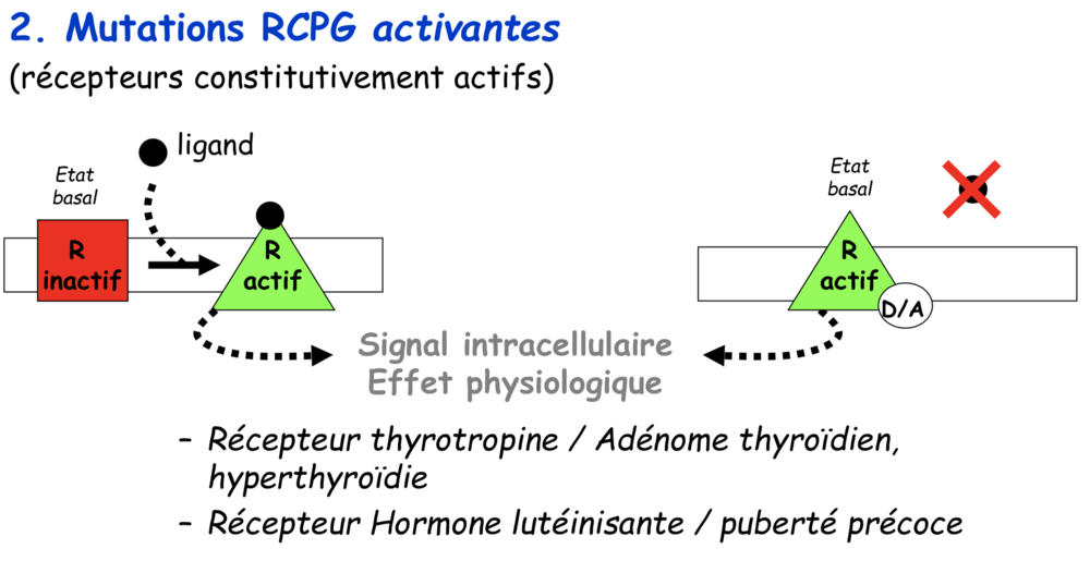 Capture d’écran 2019-03-05 à 10.13.59.png