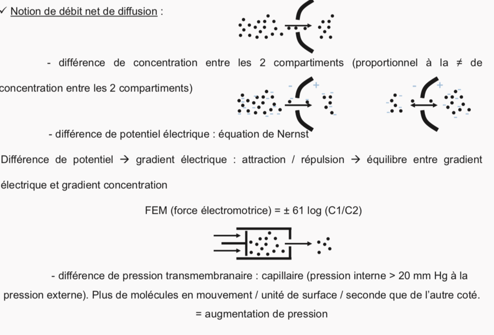 Capture d’écran 2019-03-07 à 19.18.49.png