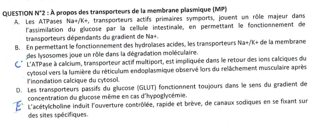 Capture d’écran 2019-10-09 à 18.42.20.png