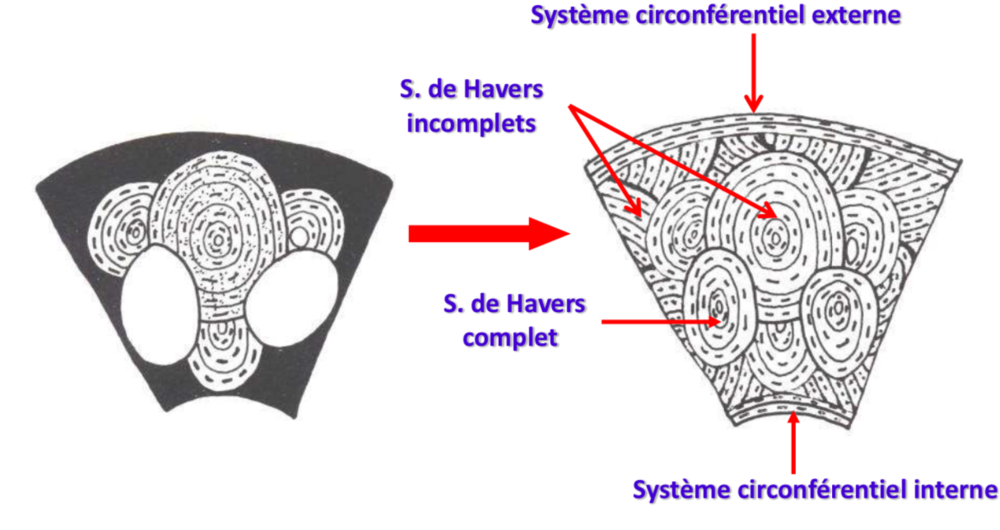 Capture d’écran 2019-10-19 à 18.41.31.png