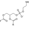 Phosphatidyléthanolamine