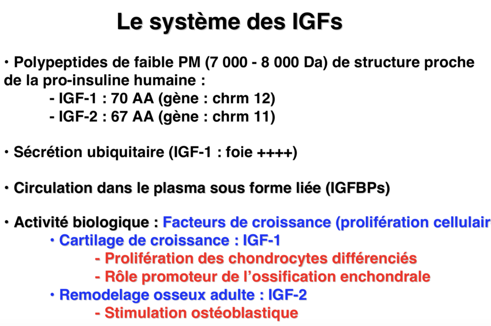 Capture d’écran 2019-11-12 à 01.15.10.png