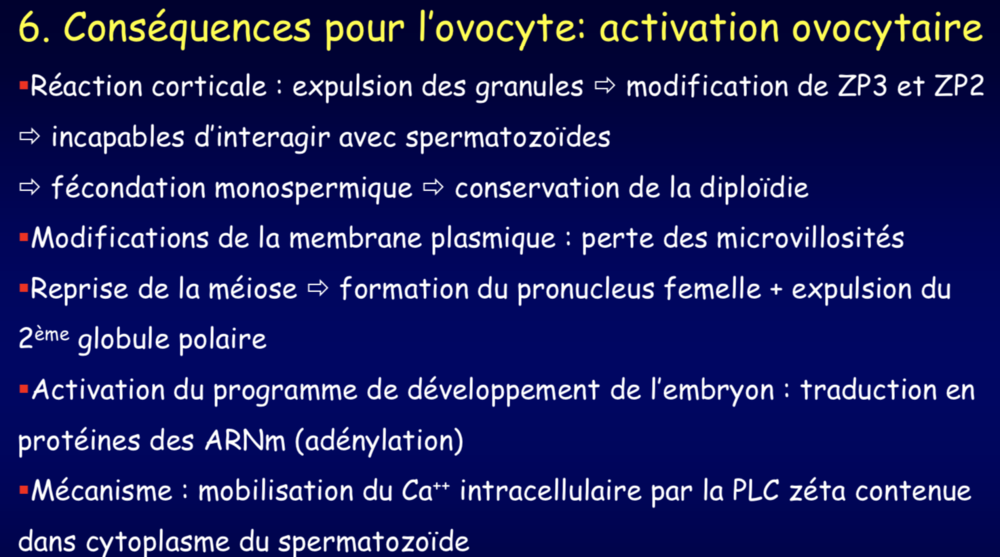 Capture d’écran 2019-11-28 à 18.16.49.png