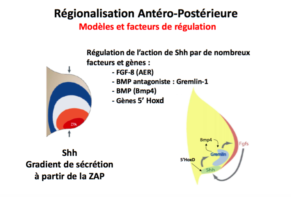 Capture d’écran 2019-11-13 à 13.52.47.png