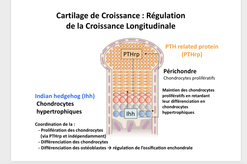 Capture d’écran 2019-11-12 à 01.29.26.png