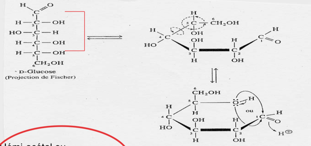 Capture d’écran 2019-12-12 à 12.12.50.png