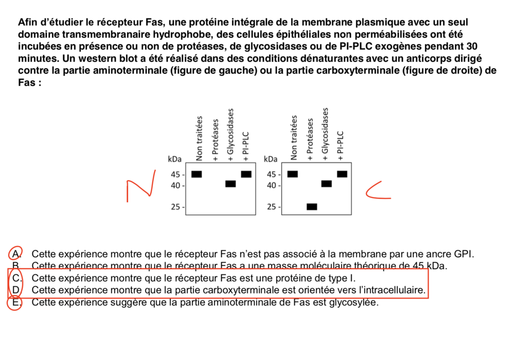 Capture d’écran 2019-12-07 à 00.11.50.png