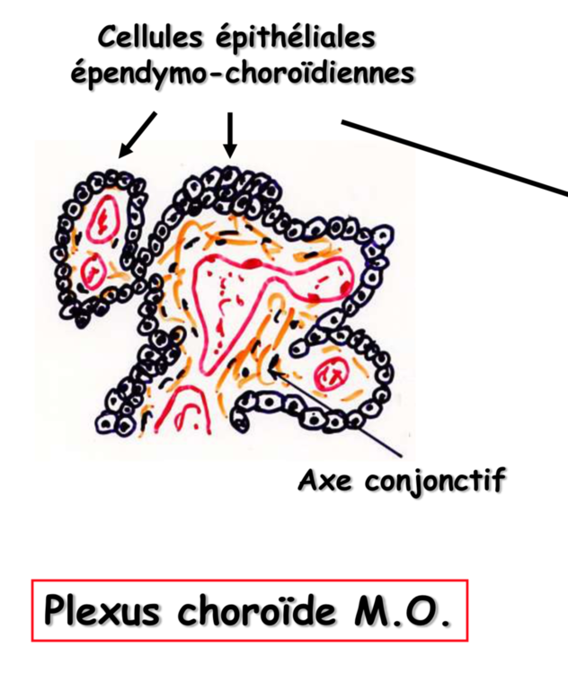 Capture d’écran 2019-12-03 à 19.39.50.png