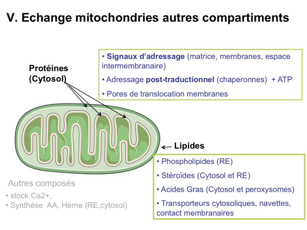 Capture d’écran 2019-12-29 à 23.53.08.png