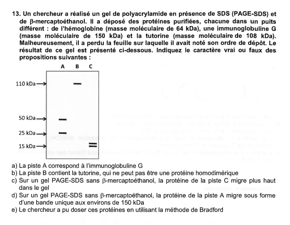 Capture d’écran 2019-12-24 à 19.55.06.png