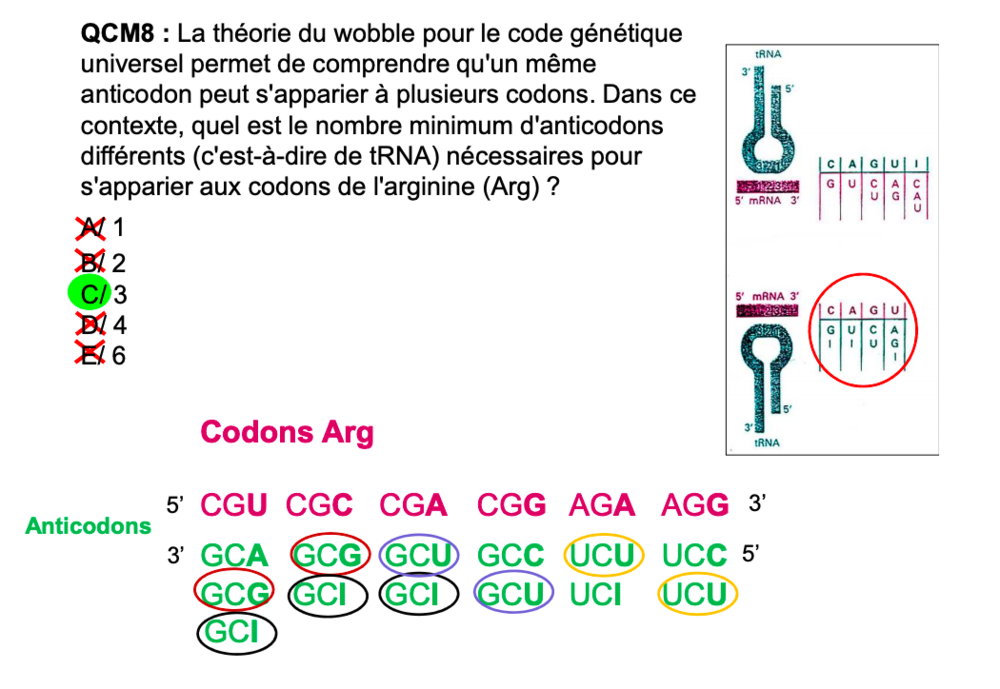 Capture d’écran 2019-12-07 à 22.50.54.png