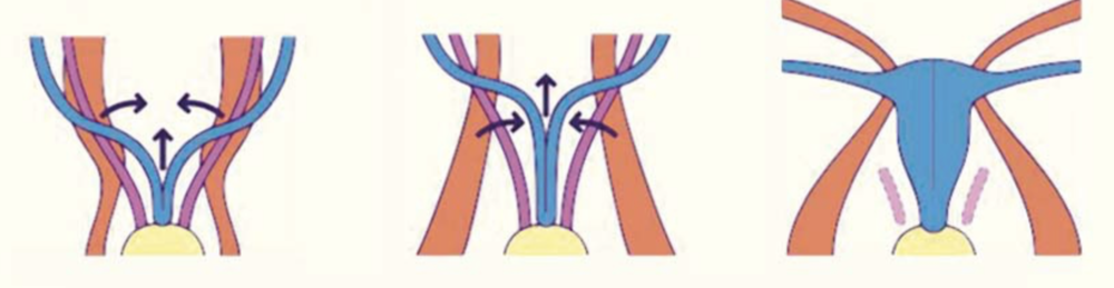 Capture d’écran 2019-12-05 à 14.17.31.png
