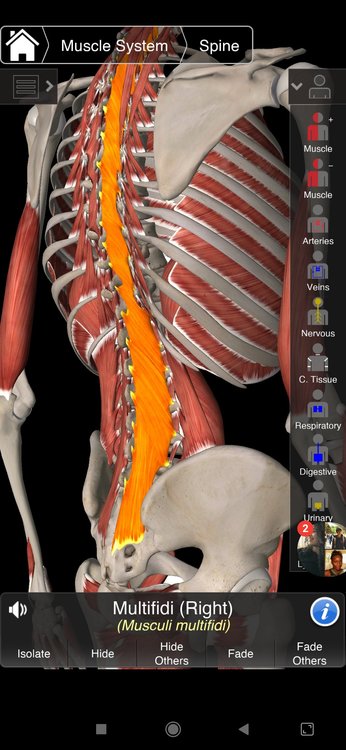 Screenshot_2020-02-06-09-08-42-019_com.the3d4medical.EssentialAnatomy.jpg