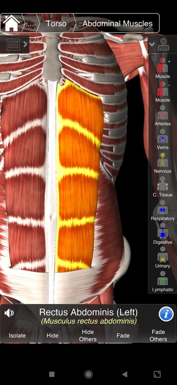 Screenshot_2020-02-06-09-12-07-413_com.the3d4medical.EssentialAnatomy.jpg