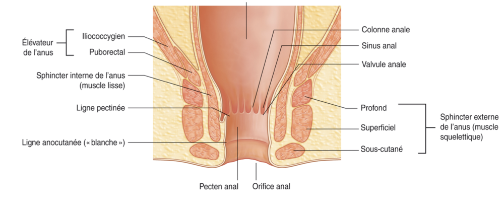 Capture d’écran 2020-03-17 à 16.27.18.png