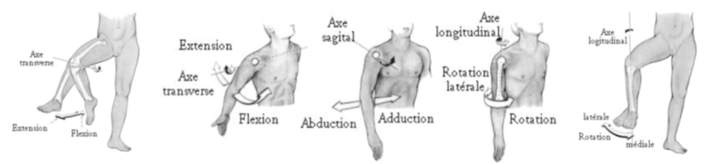 Capture d’écran 2020-03-15 à 16.29.04.png