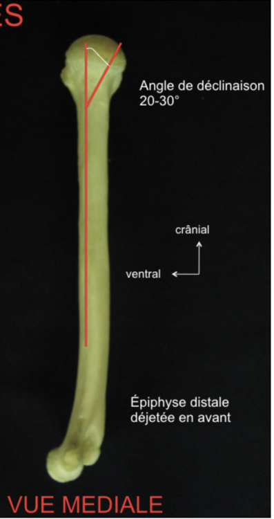 Capture d’écran 2020-04-22 à 19.57.58.png