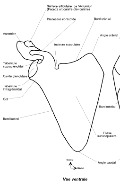 Capture d’écran 2020-04-13 à 17.26.39.png