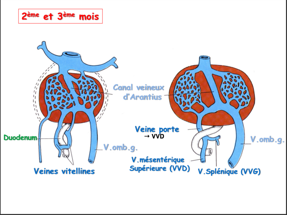 Capture d’écran 2020-05-06 à 10.17.32.png