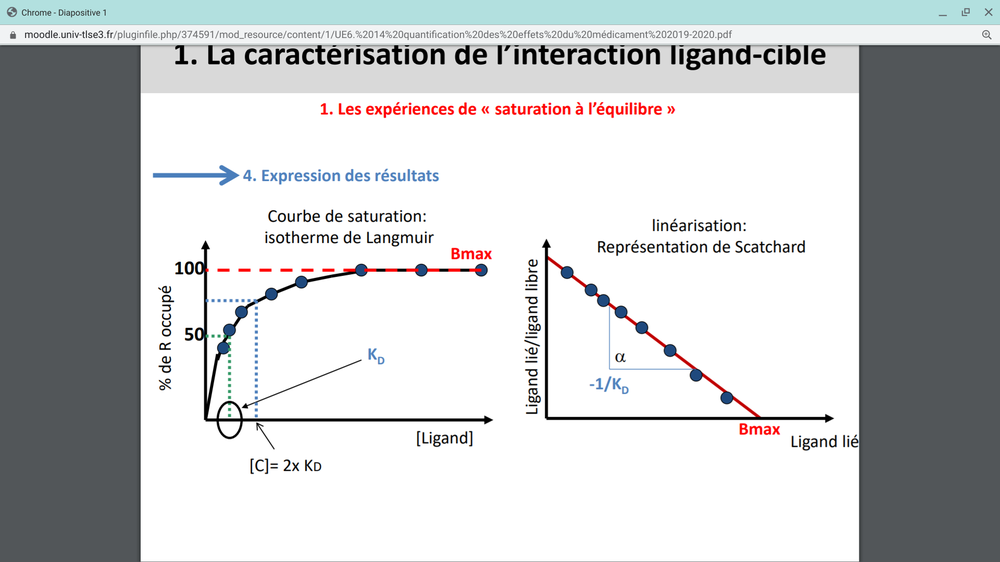 Screenshot 2020-05-05 at 3.41.25 PM.png