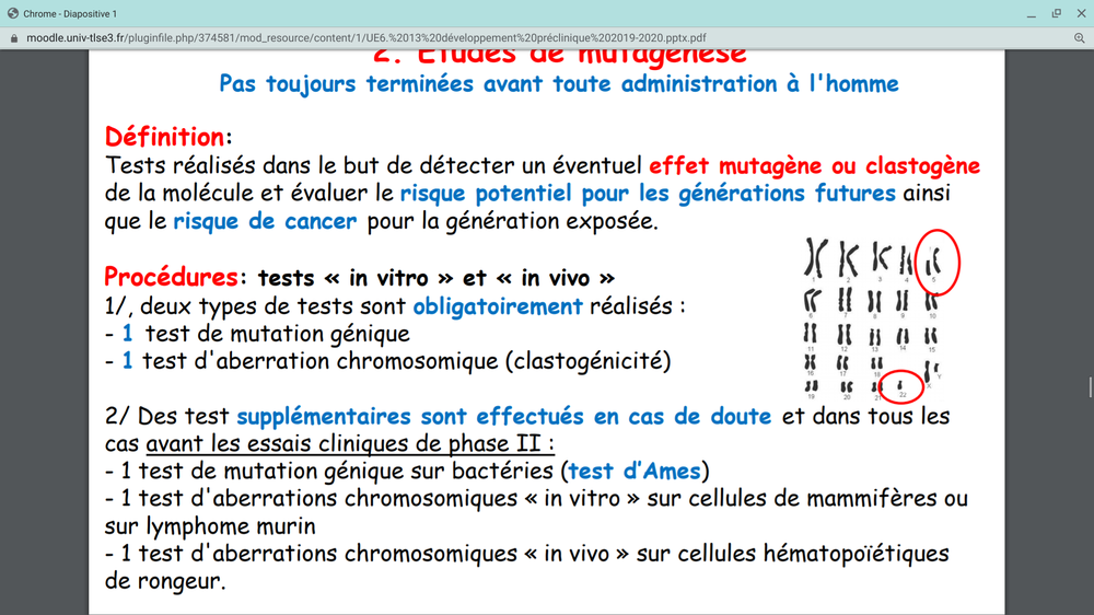 Screenshot 2020-05-09 at 8.13.08 PM.png