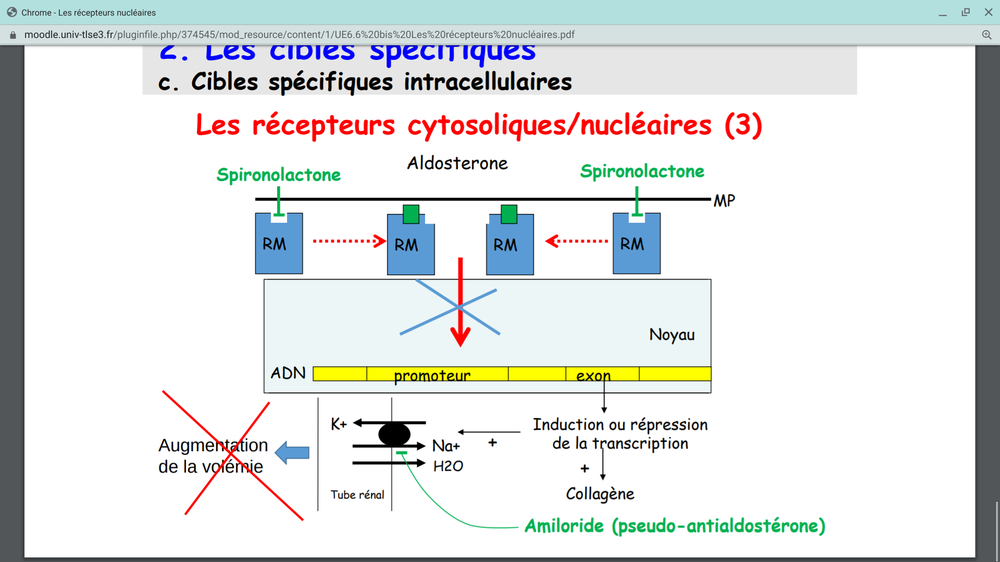 Screenshot 2020-05-09 at 8.04.47 PM.png