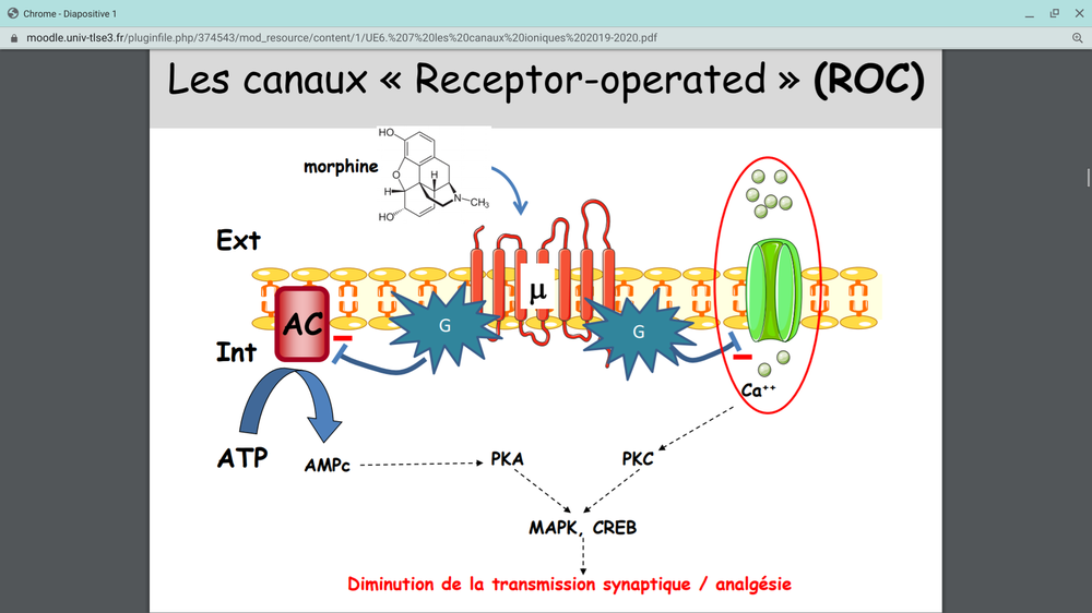 Screenshot 2020-05-08 at 9.44.27 PM.png