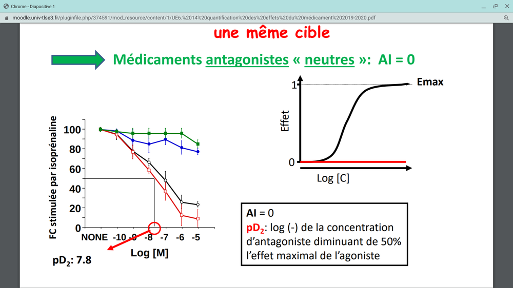 Screenshot 2020-05-06 at 2.50.07 PM.png