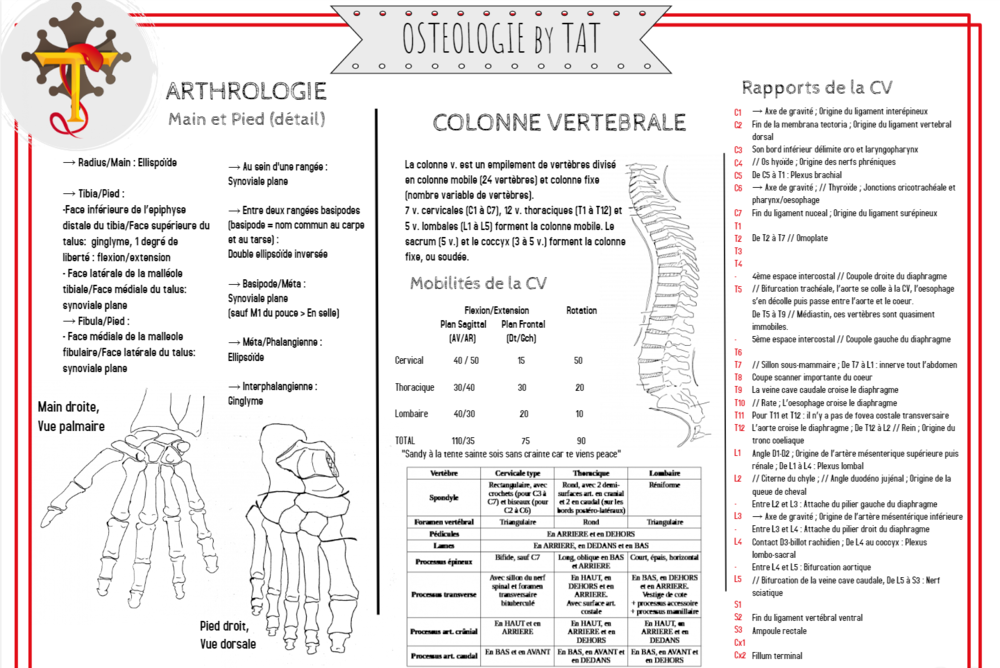 Main, pieds, colonne (version nette).PNG