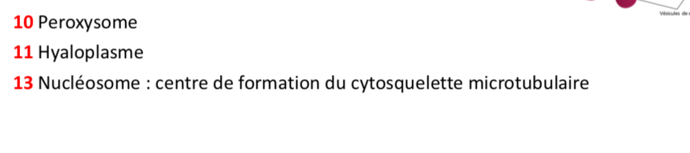 Capture d’écran 2020-09-27 à 10.11.26.png