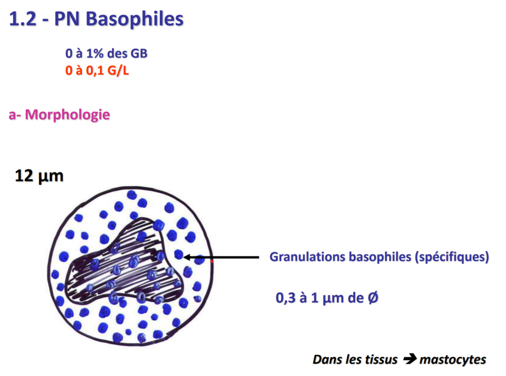 Capture d’écran 2020-09-28 225456.png