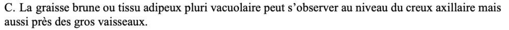 Capture d’écran 2020-09-19 à 10.54.23.png