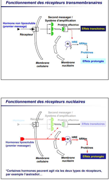 Question tutoweb.PNG