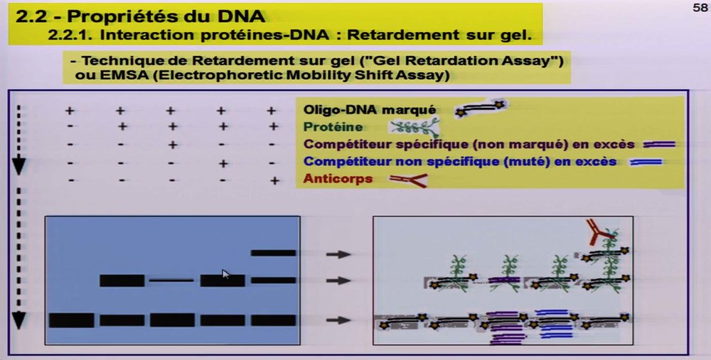 Capture d’écran 2020-10-15 à 10.38.35.jpg